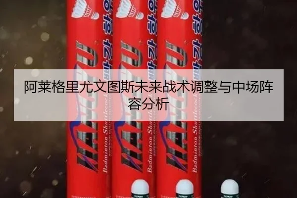 阿莱格里尤文图斯未来战术调整与中场阵容分析 - imesports